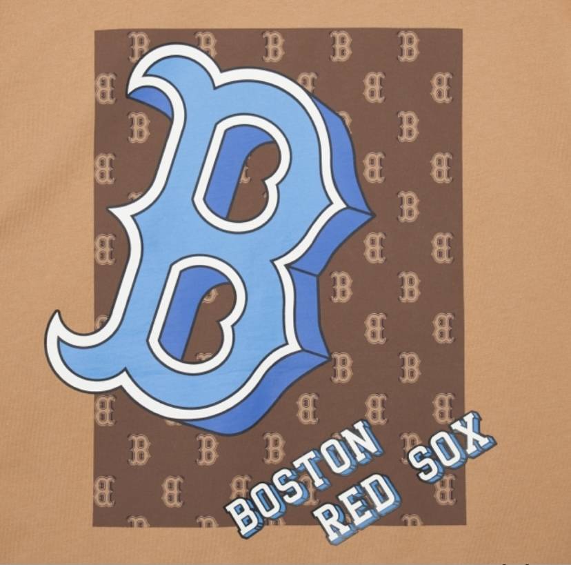 MLB Boston Redsox Monotive Overfit T-Shirt